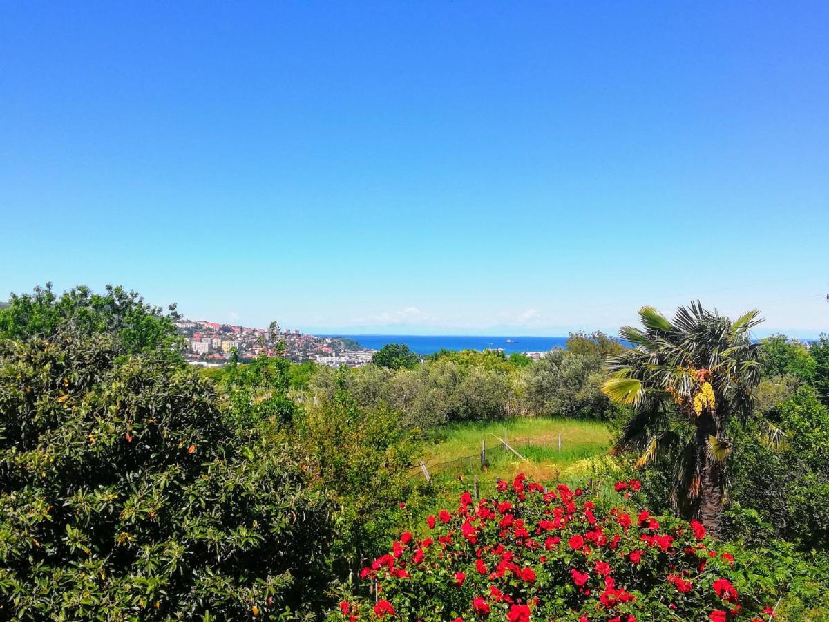 Peaceful View Apartment Κόπερ Εξωτερικό φωτογραφία