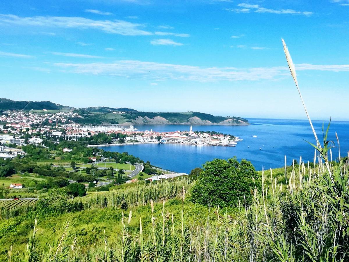 Peaceful View Apartment Κόπερ Εξωτερικό φωτογραφία