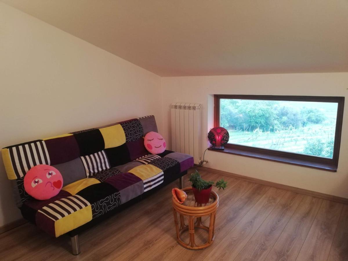 Peaceful View Apartment Κόπερ Εξωτερικό φωτογραφία