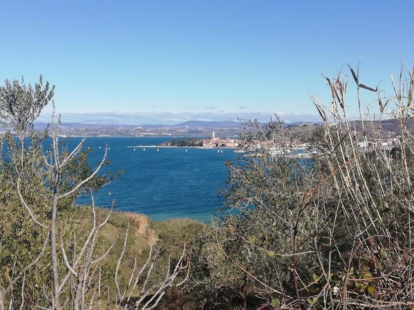 Peaceful View Apartment Κόπερ Εξωτερικό φωτογραφία