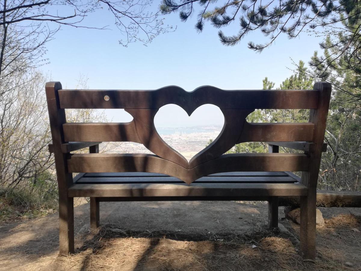 Peaceful View Apartment Κόπερ Εξωτερικό φωτογραφία