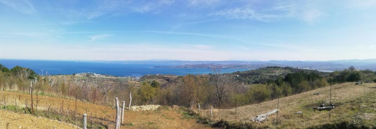 Peaceful View Apartment Κόπερ Εξωτερικό φωτογραφία