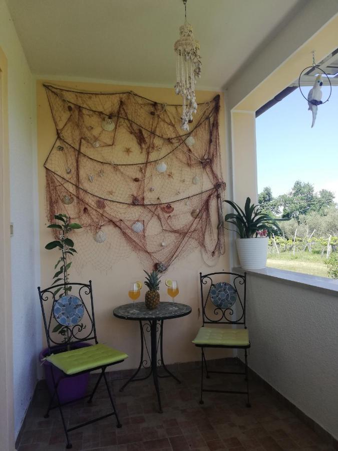 Peaceful View Apartment Κόπερ Εξωτερικό φωτογραφία