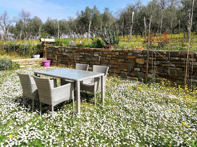 Peaceful View Apartment Κόπερ Εξωτερικό φωτογραφία