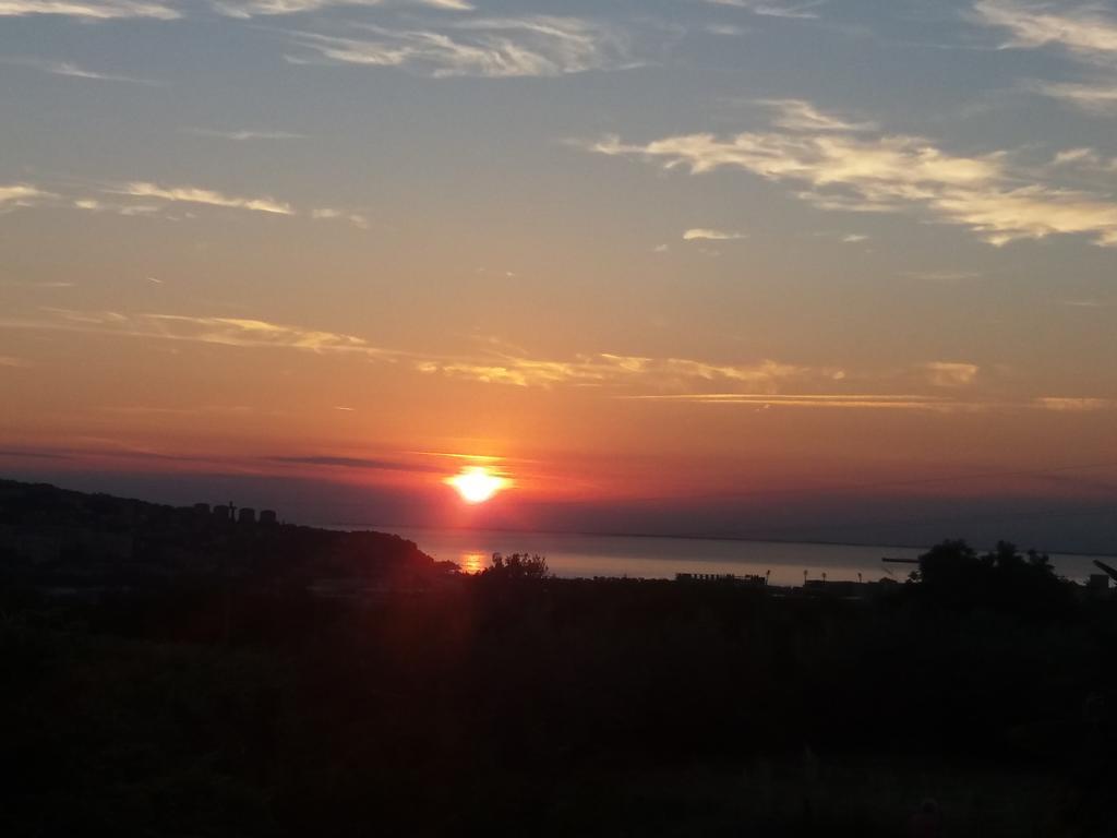 Peaceful View Apartment Κόπερ Εξωτερικό φωτογραφία