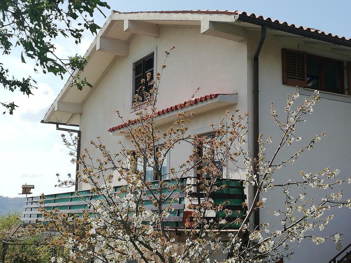Peaceful View Apartment Κόπερ Εξωτερικό φωτογραφία