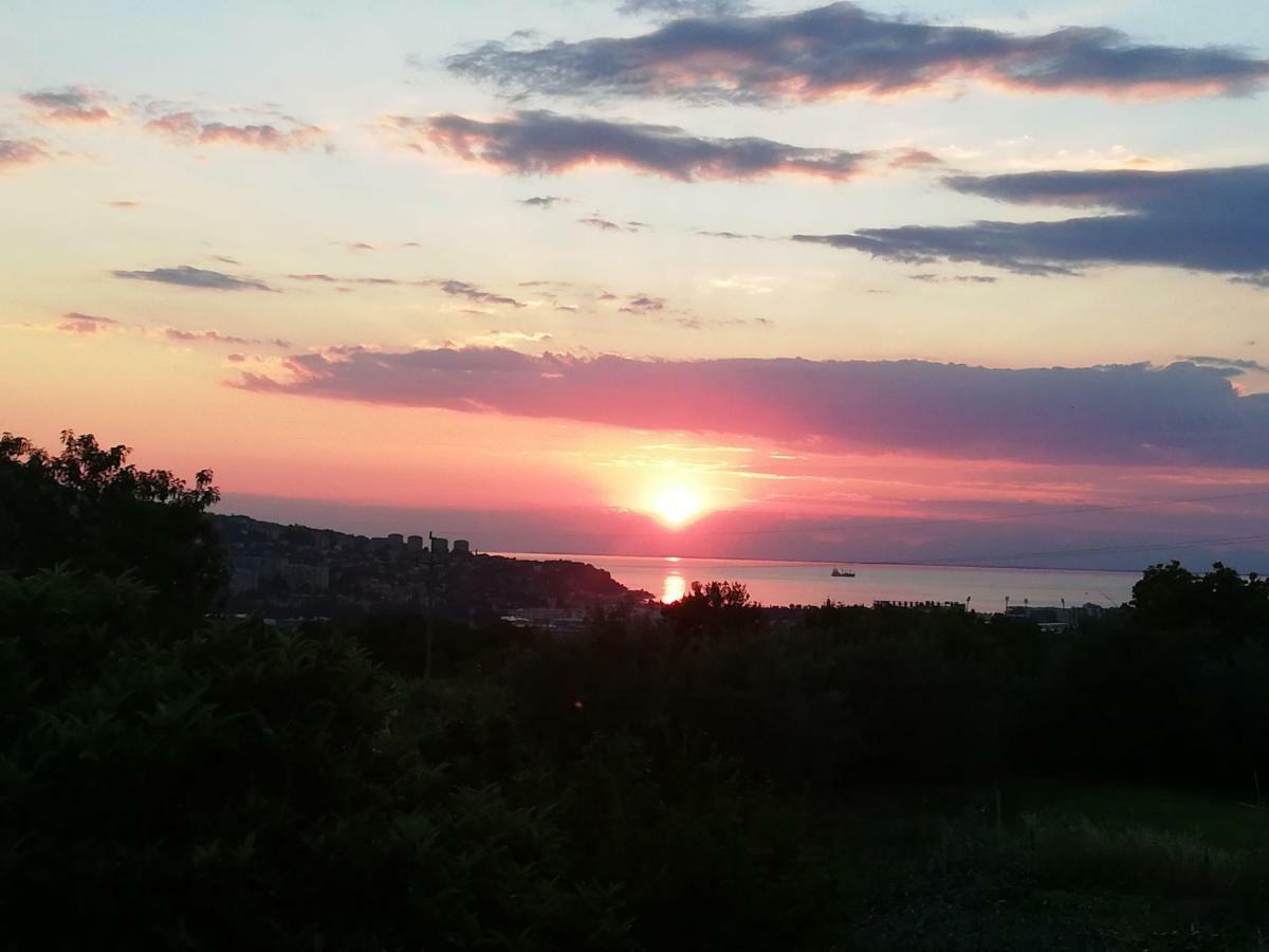 Peaceful View Apartment Κόπερ Εξωτερικό φωτογραφία