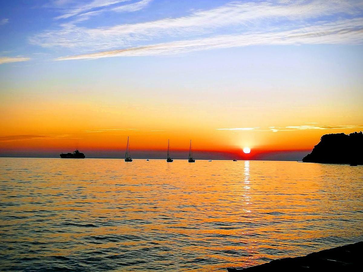 Peaceful View Apartment Κόπερ Εξωτερικό φωτογραφία