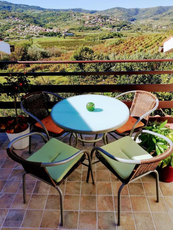 Peaceful View Apartment Κόπερ Εξωτερικό φωτογραφία